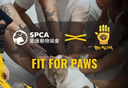 Oh My Ink x SPCA: Fit for Paws