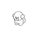 Bichon 1