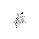 The Botanical Symphony (Floral Style)