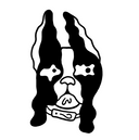 Frenchies 2