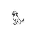 Golden Retriever 1