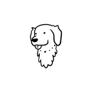 Golden Retriever 5