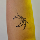 Moon with Leaf