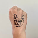Frenchies 4