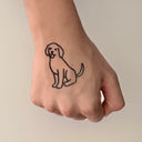 Golden Retriever 14