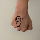 Golden Retriever 5