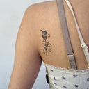 Rose with Butterfly