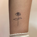 Fine Line Rose 1