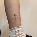 Fine Line Rose 1