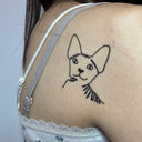 Sphynx 12