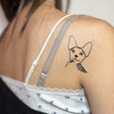 Sphynx 12