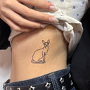 Sphynx 10
