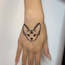 Sphynx 8