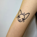 Sphynx 6