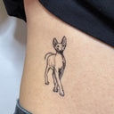 Sphynx 1