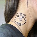 Short Hair Cat 9