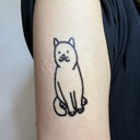 Short Hair  Cat 13