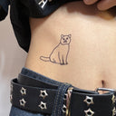 Short Hair Cat 12