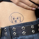 Poodle 11