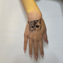 Short Hair Cat 3