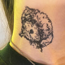 Poodle 2