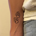 Paws 2