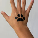 Paws