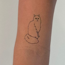 Long Hair Cat 12