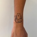 Long Hair Cat 7