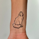 Long Hair Cat 9
