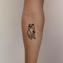 Shiba 7
