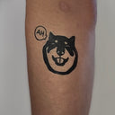 Shiba 12