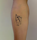 Shiba 3