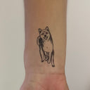 Shiba 1