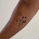 Shiba 9