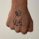 Golden Retriever 6