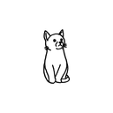 Domestic Cat 10