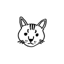 Domestic Cat 3