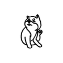 Shiba 7