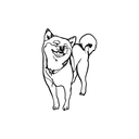 Shiba 3