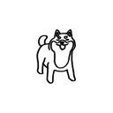 Shiba 8