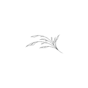 The Sacred Nexus (Ornamental Style)