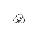 Poodle 5