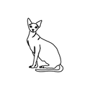 Sphynx 10