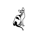 Sphynx 7