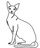 Sphynx 10