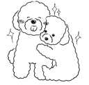Poodle 8