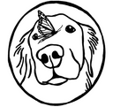 Golden Retriever 9