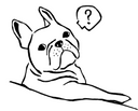 Frenchies 10