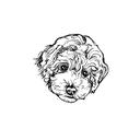 貴賓狗盲盒：半永久紋身